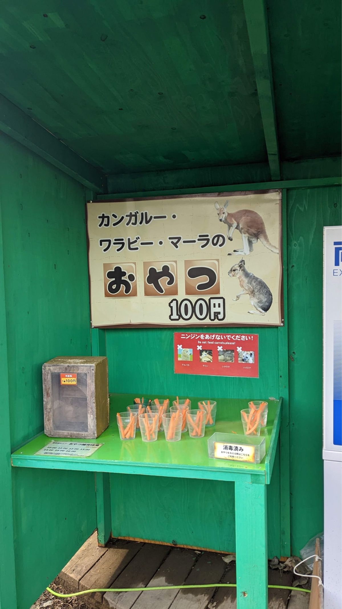 定山渓にある動物園、ノースサファリサッポロ。
泊まっているホテルからは遠か...