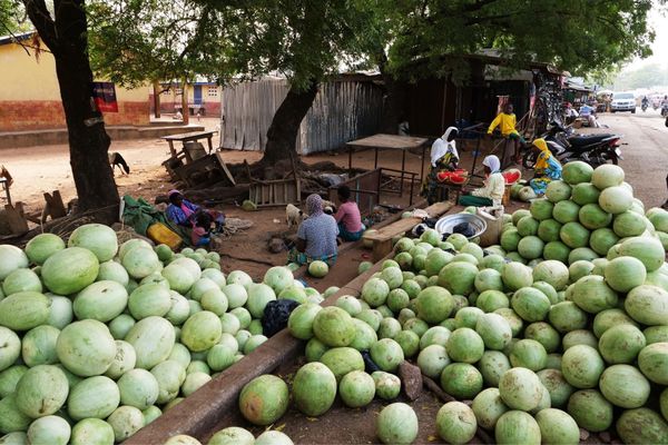 アラブ首長国連邦・Dubai「ガーナ出張」の写真：ガーナはスイカの季節でした