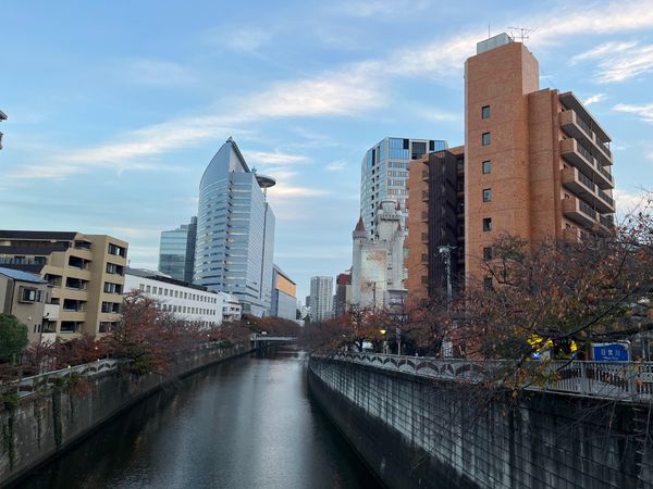 日本・東京都「東京旅行」の写真