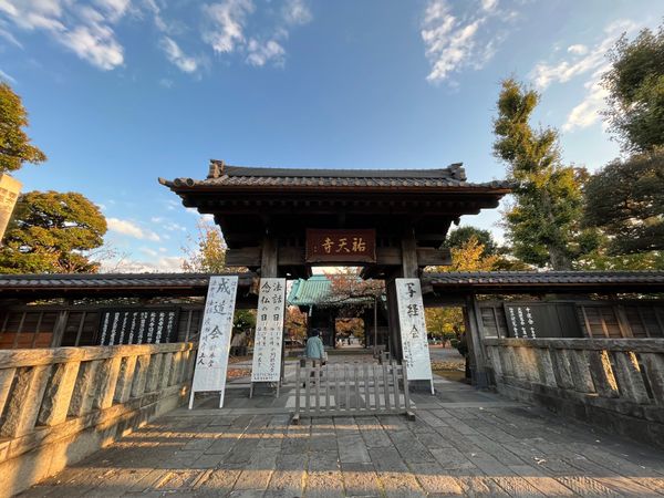 日本・東京都「東京旅行」の写真