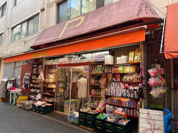 日本・東京都「東京旅行」の写真