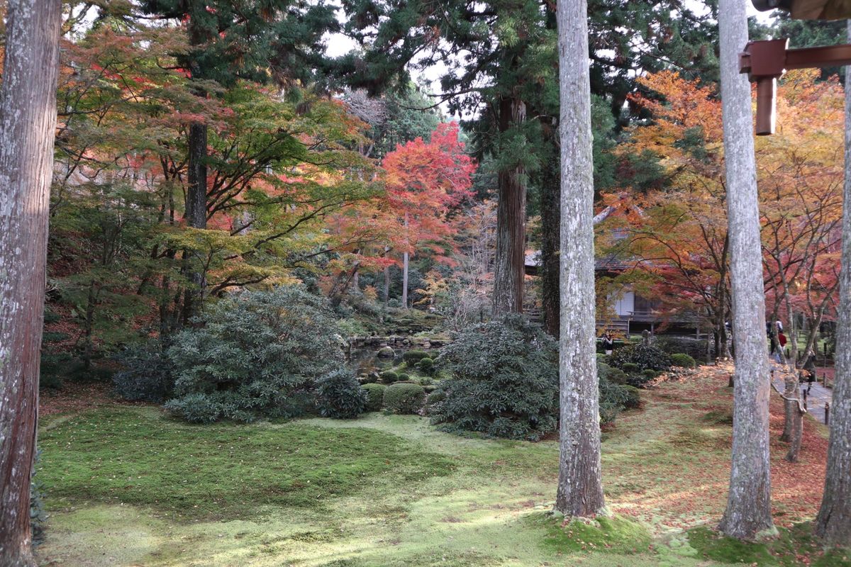 京都♪大原三千院♪