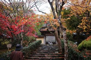 寂光院
こじんまりしててとても綺麗。紅葉も良かった。