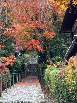 寂光院
こじんまりしててとても綺麗。紅葉も良かった。