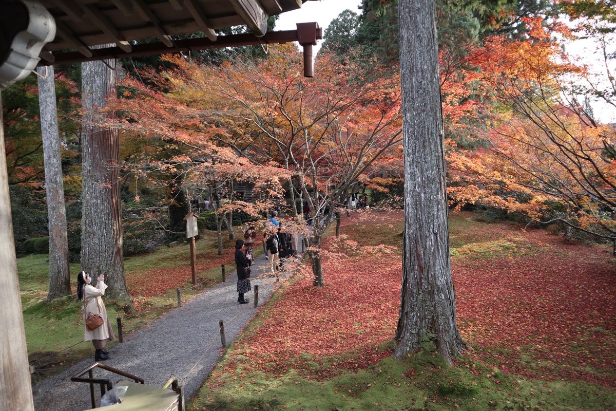 京都♪大原三千院♪
