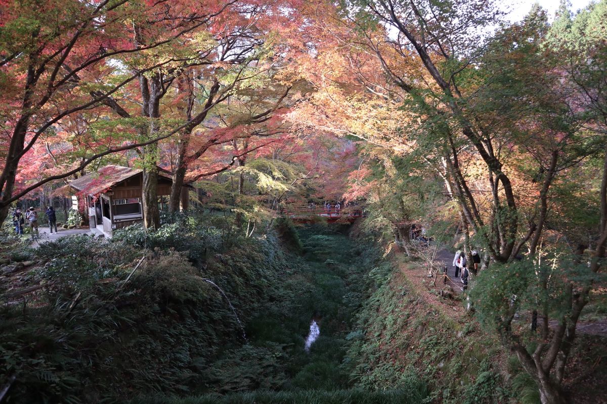 京都♪大原三千院♪