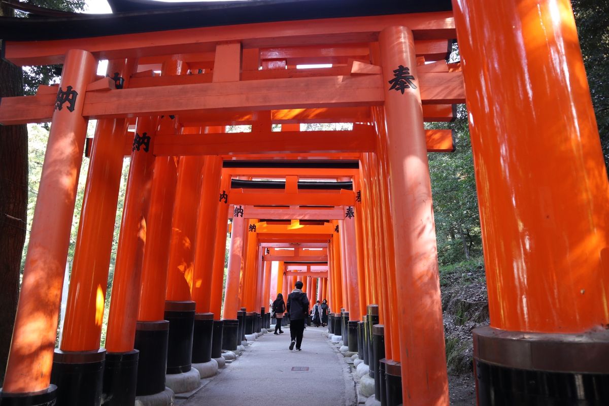 伏見稲荷神社
