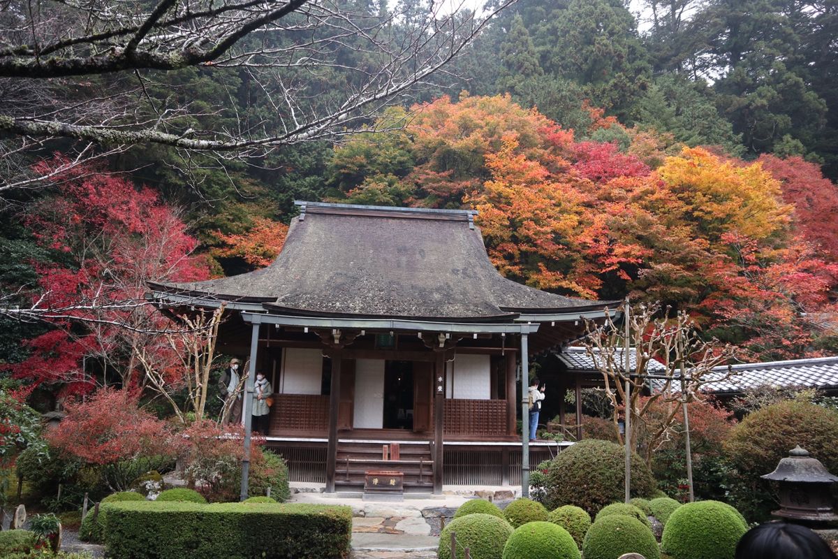 寂光院
こじんまりしててとても綺麗。紅葉も良かった。