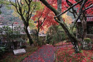 寂光院
こじんまりしててとても綺麗。紅葉も良かった。