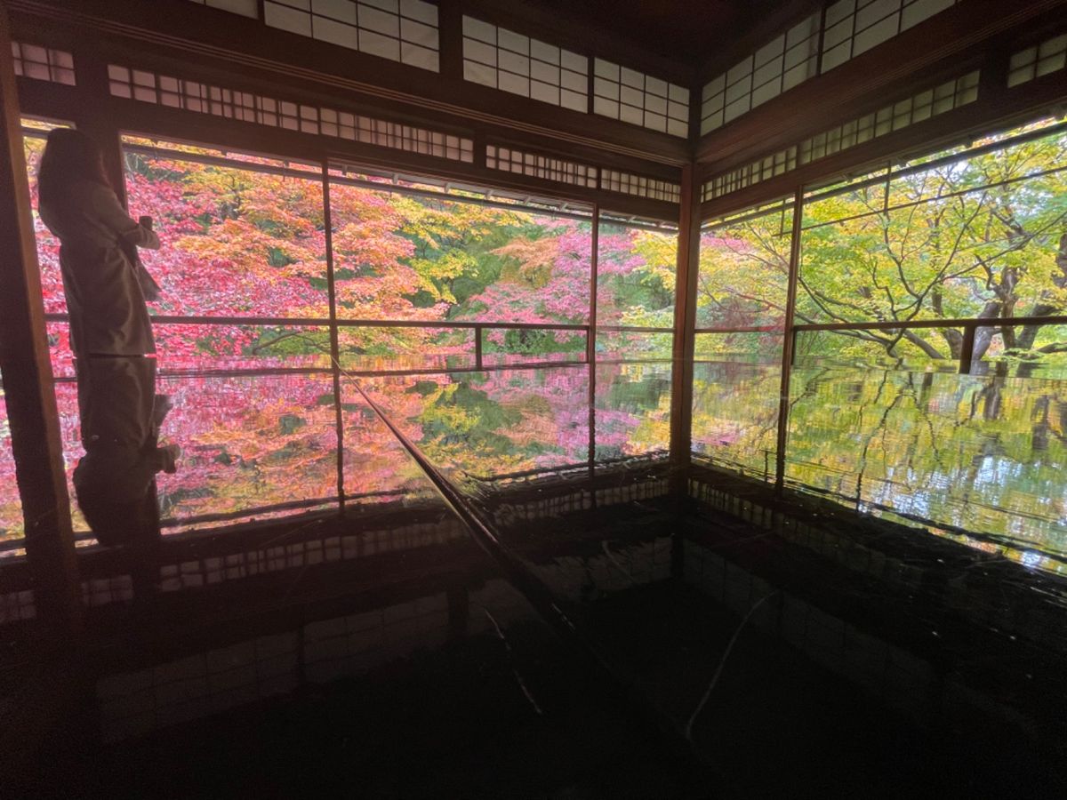 初めて行った瑠璃光院。素晴らしい紅葉でした。