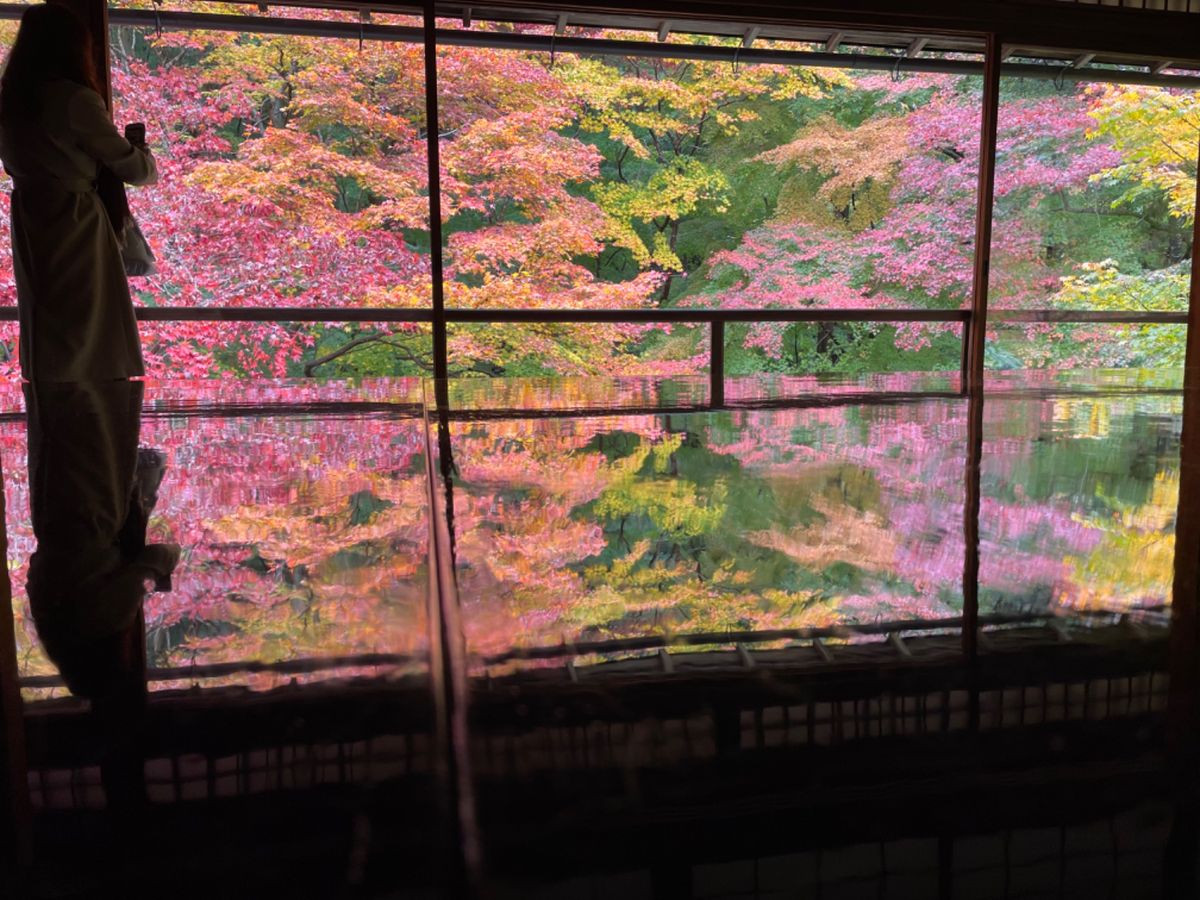 初めて行った瑠璃光院。素晴らしい紅葉でした。