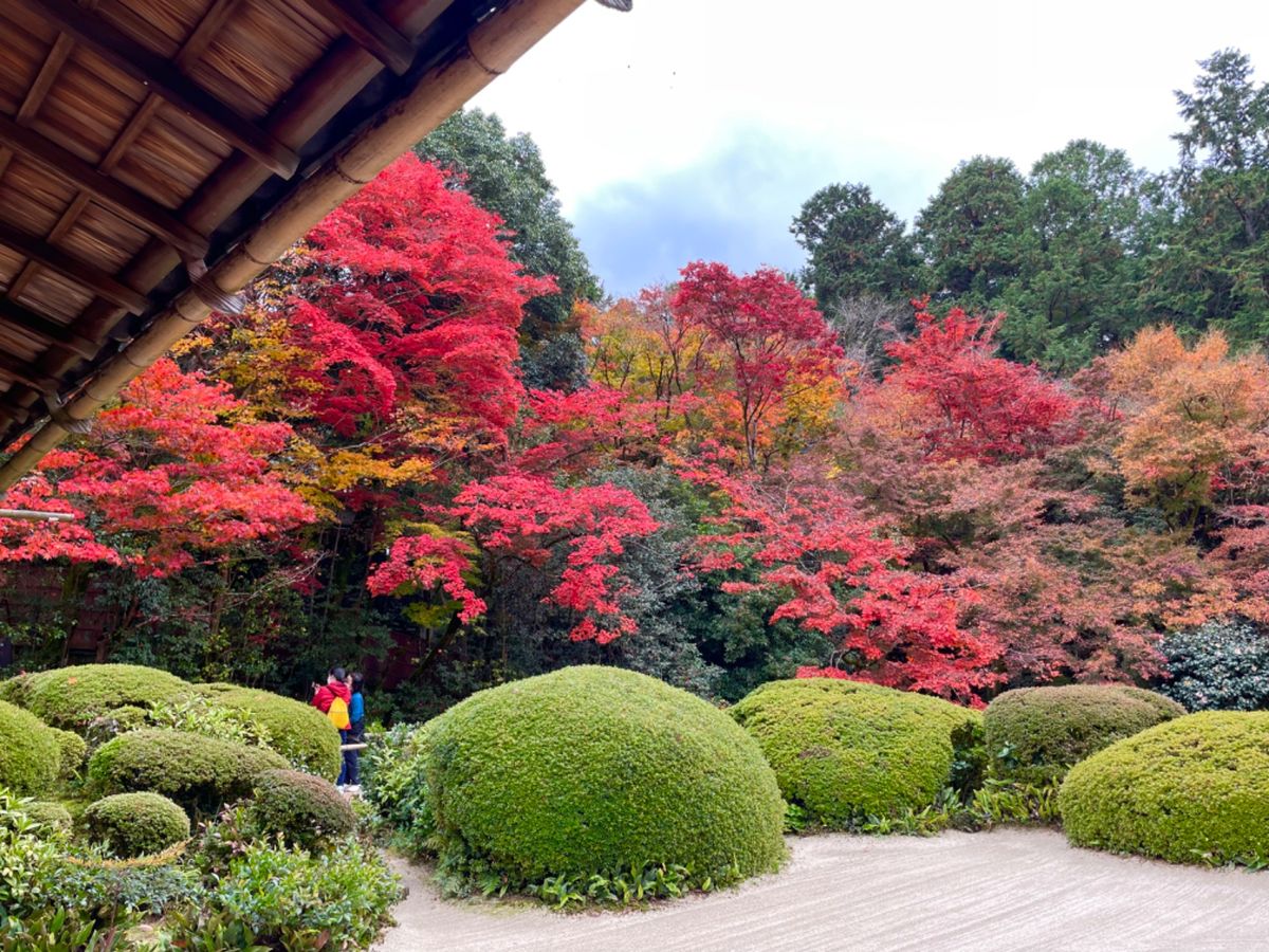 詩仙堂の紅葉も素晴らしい。