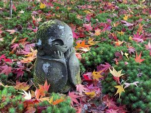 圓光寺の紅葉