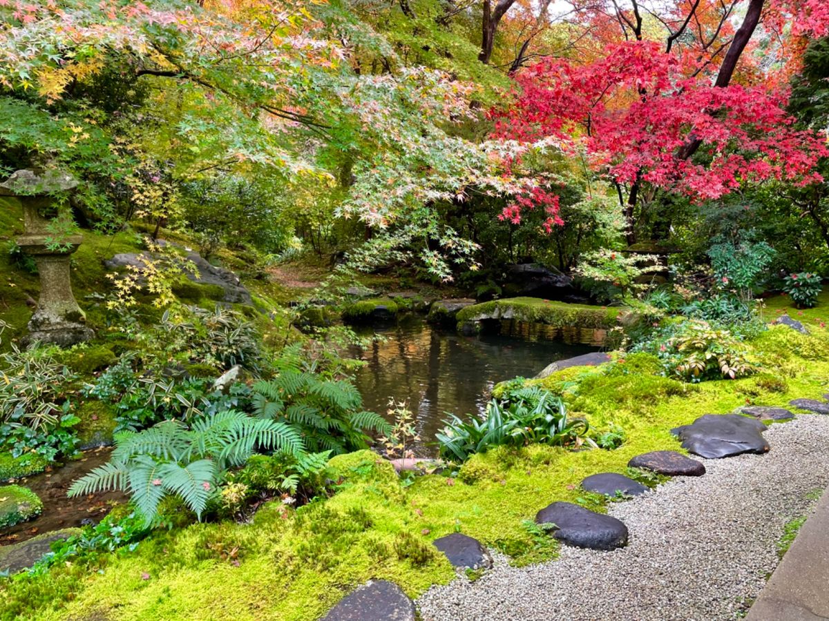 瑠璃光院は有名な床紅葉以外も美しい