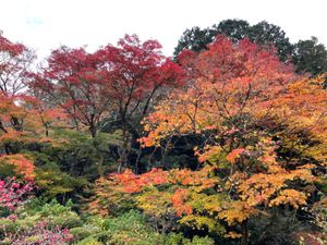 詩仙堂の紅葉