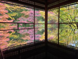 初めて行った瑠璃光院。素晴らしい紅葉でした。