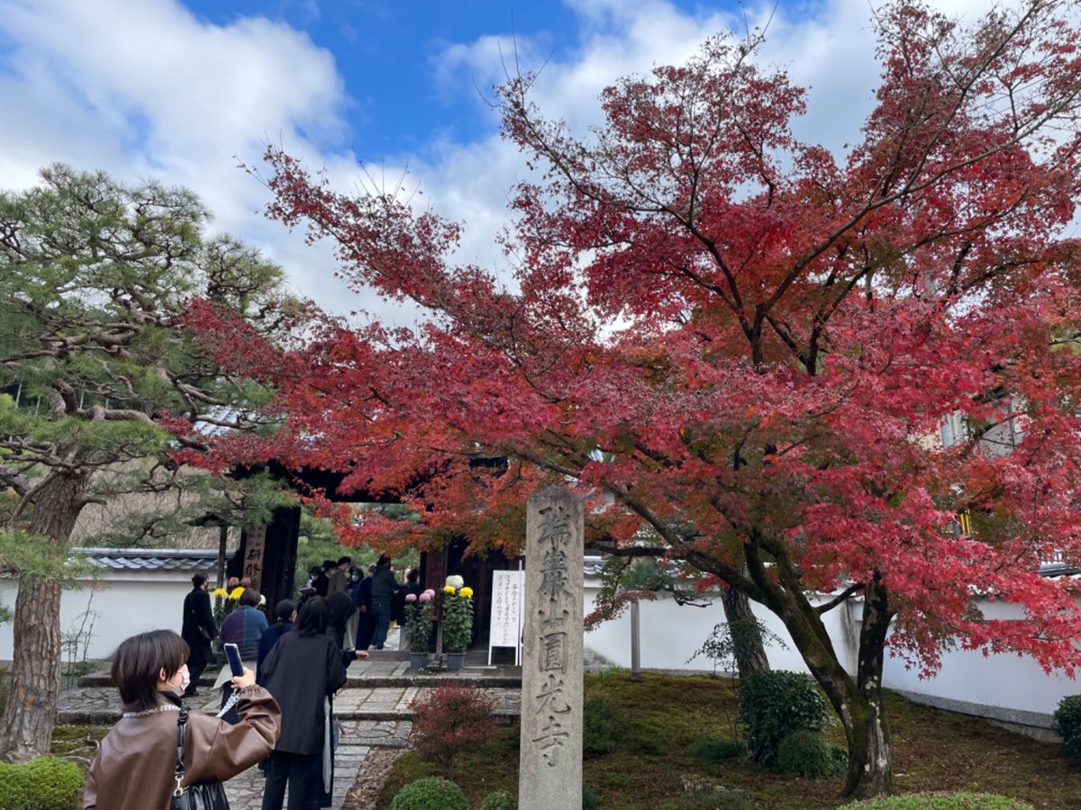 圓光寺