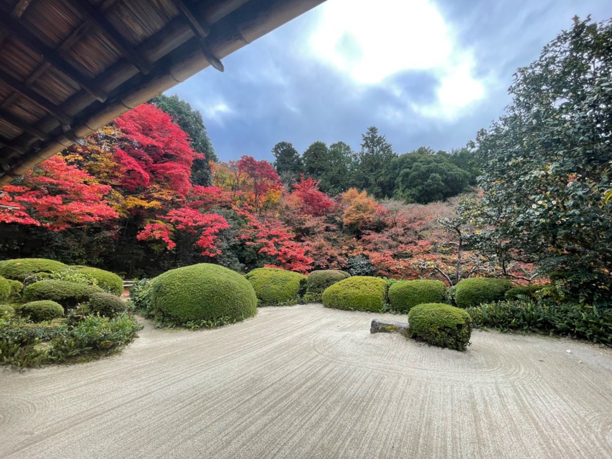 詩仙堂の紅葉も素晴らしい。