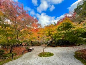 圓光寺の紅葉