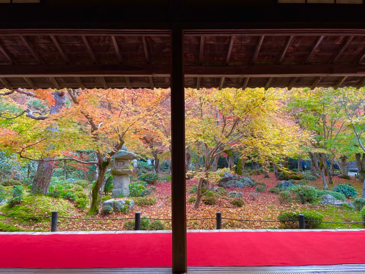 圓光寺の紅葉