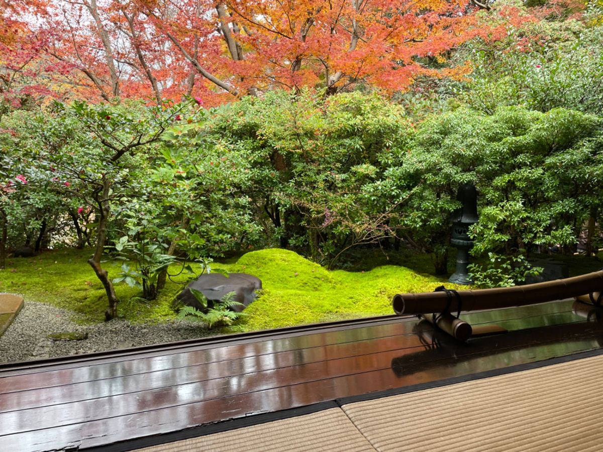 瑠璃光院は有名な床紅葉以外も美しい