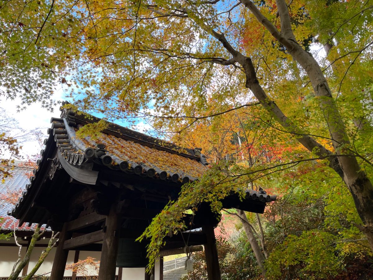 圓光寺の紅葉