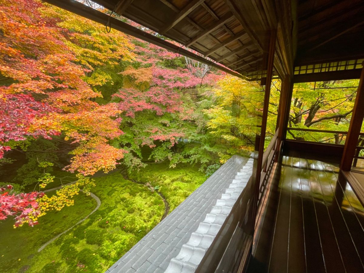 初めて行った瑠璃光院。素晴らしい紅葉でした。