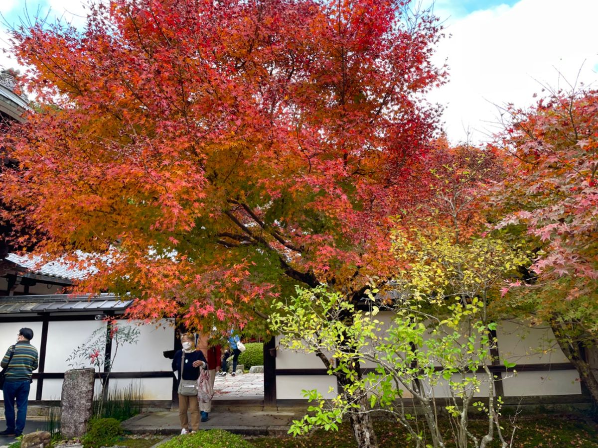 圓光寺