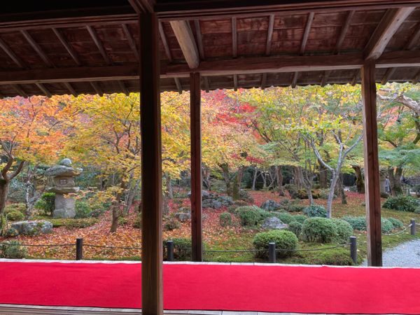 日本・京都府「2022京都・紅葉の旅」の写真：圓光寺の紅葉