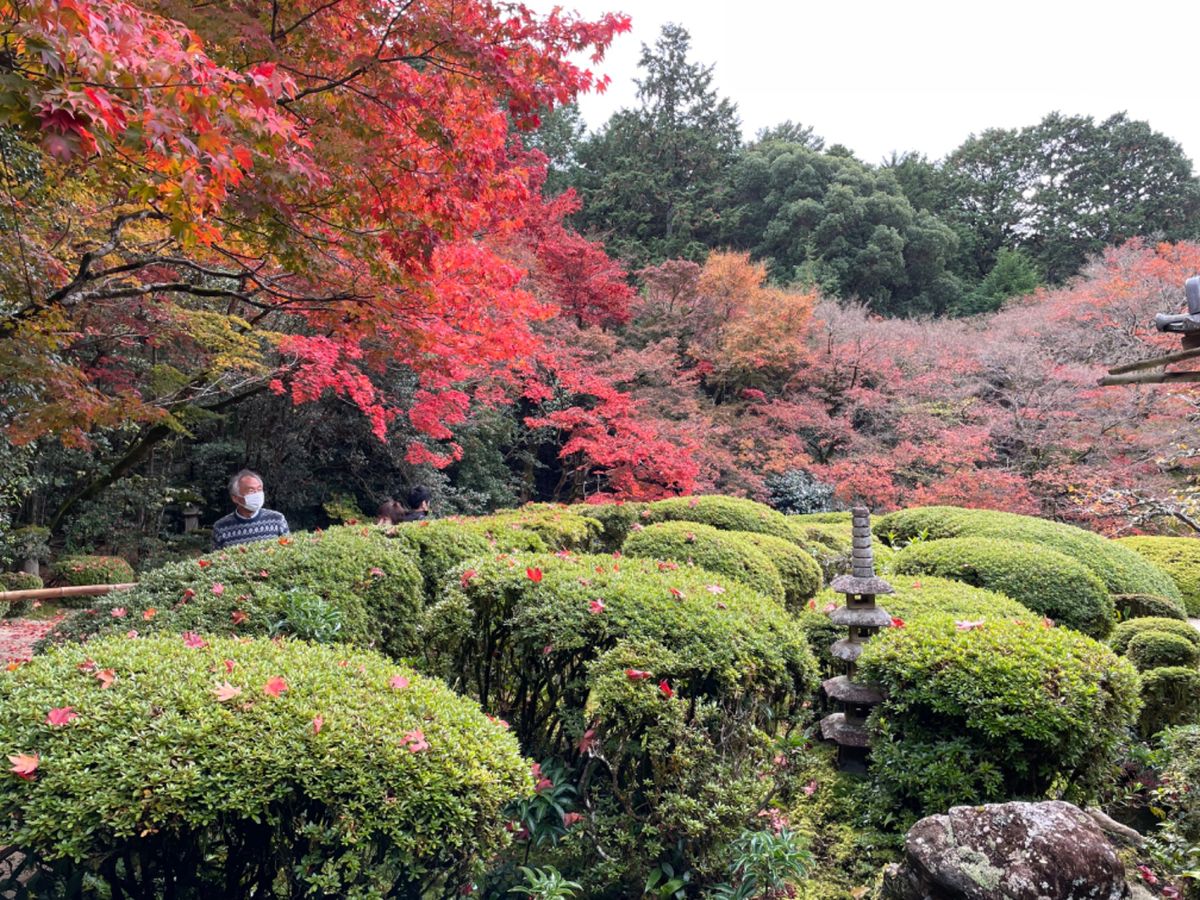 詩仙堂の紅葉も素晴らしい。