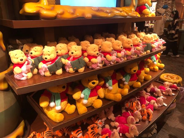 日本・千葉県「3年振りTDL」の写真