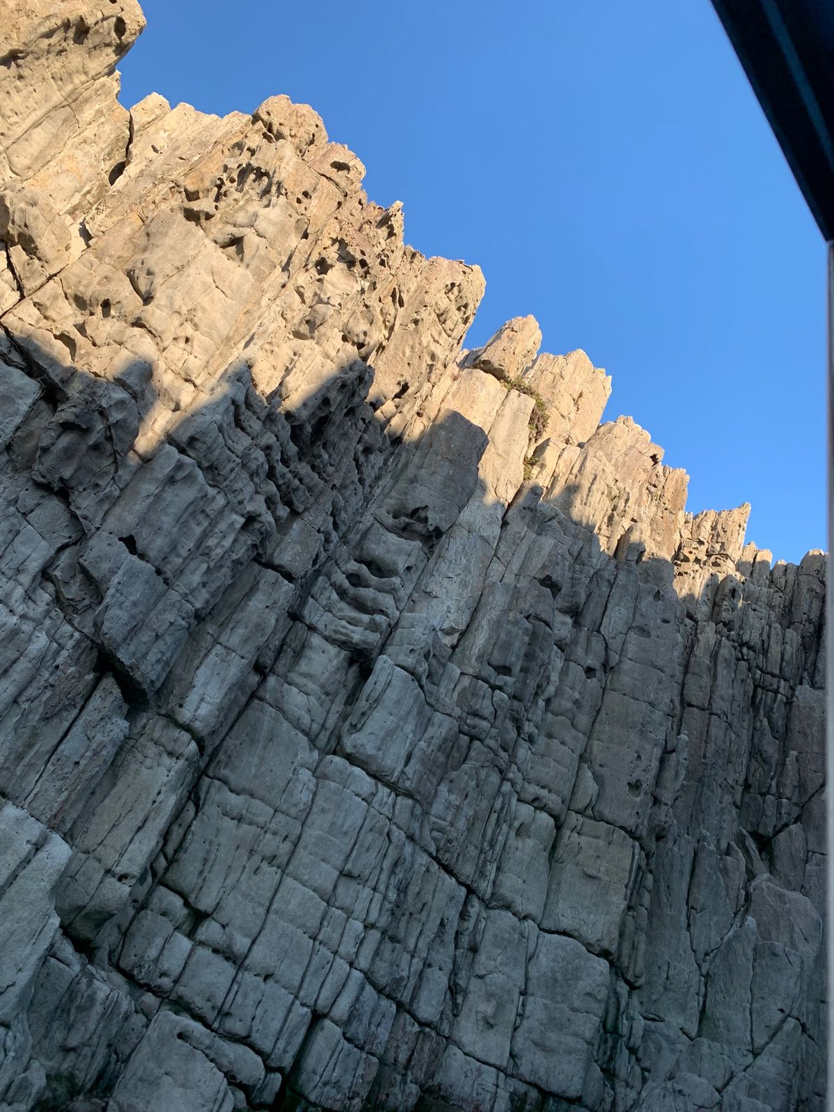 お土産のT shirtがおもしろい