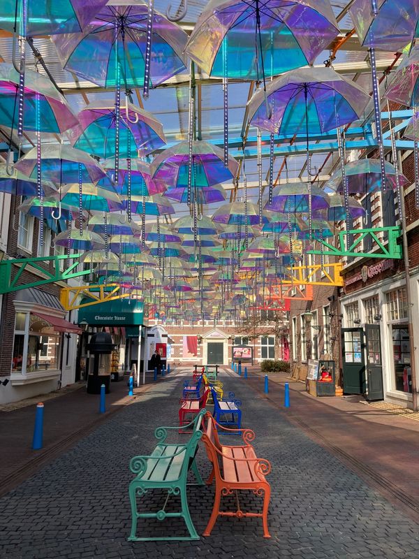 日本・長崎県「🇯🇵 ハウステンボスと温泉宿♨️◝✩」の写真：ハウステンボス🌈*･