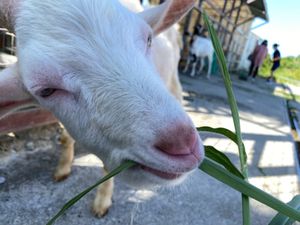 初ミニミニ動物園！🥳