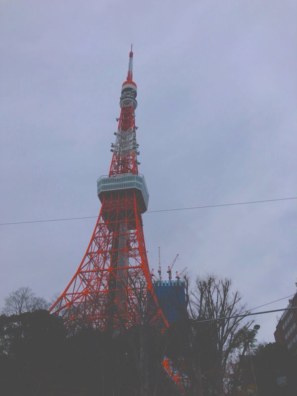 日本・東京「DAIBAKUSHO」の写真