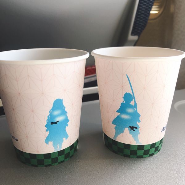 日本・北海道「札幌 ポケモンGOフェス2022」の写真：コロナ禍以降、初めての飛行機
やっと旅行...