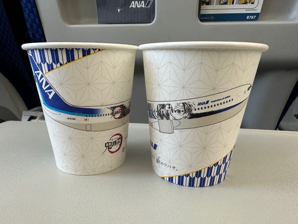 日本・東京都「羽田国際空港日帰り」の写真：ドリンクのカップは鬼滅の刃
富士山が近づ...