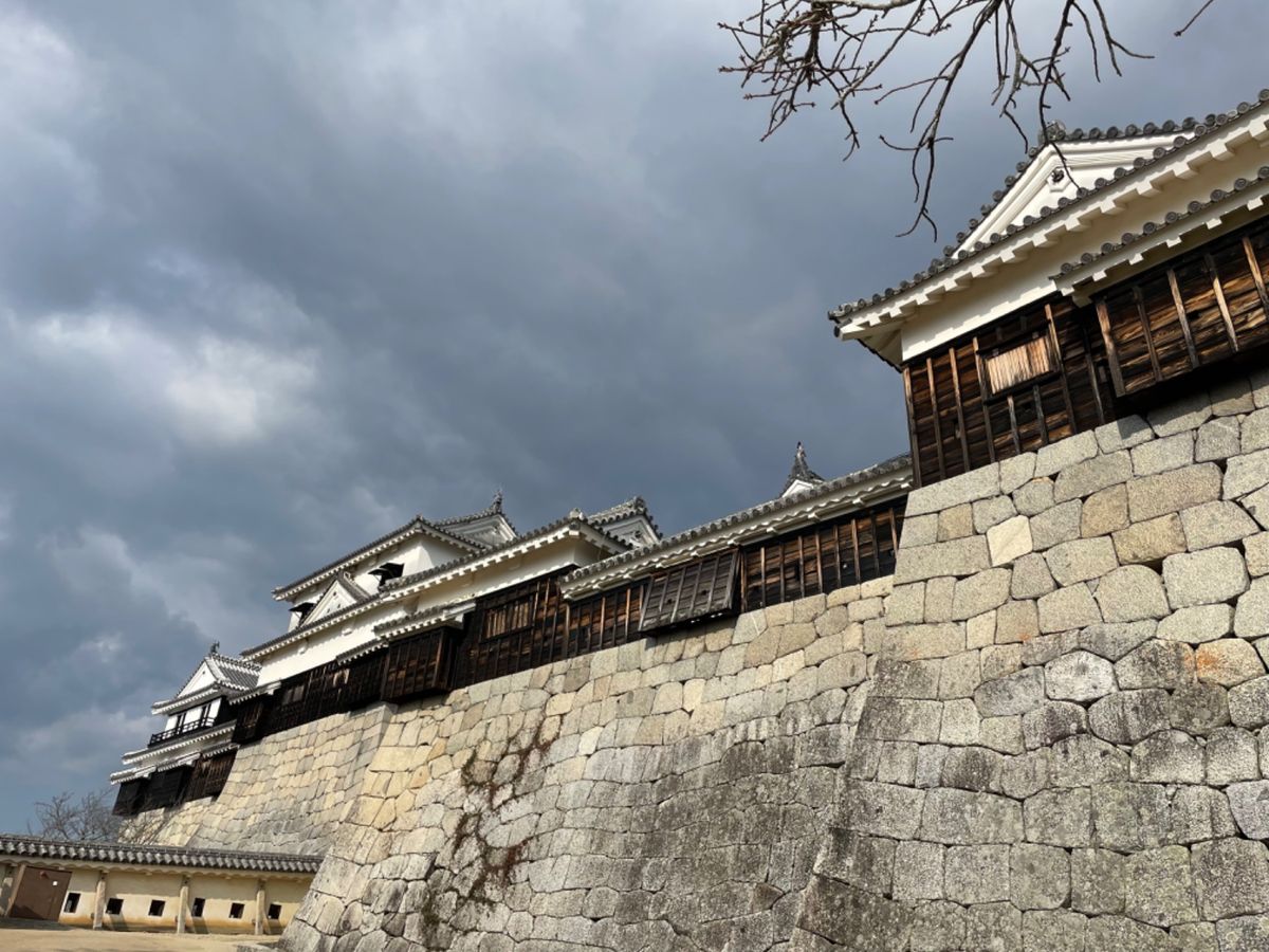 旅行最終日は松山城へ。現存12天守の一つですが、天守以外にも当時の建造物が...