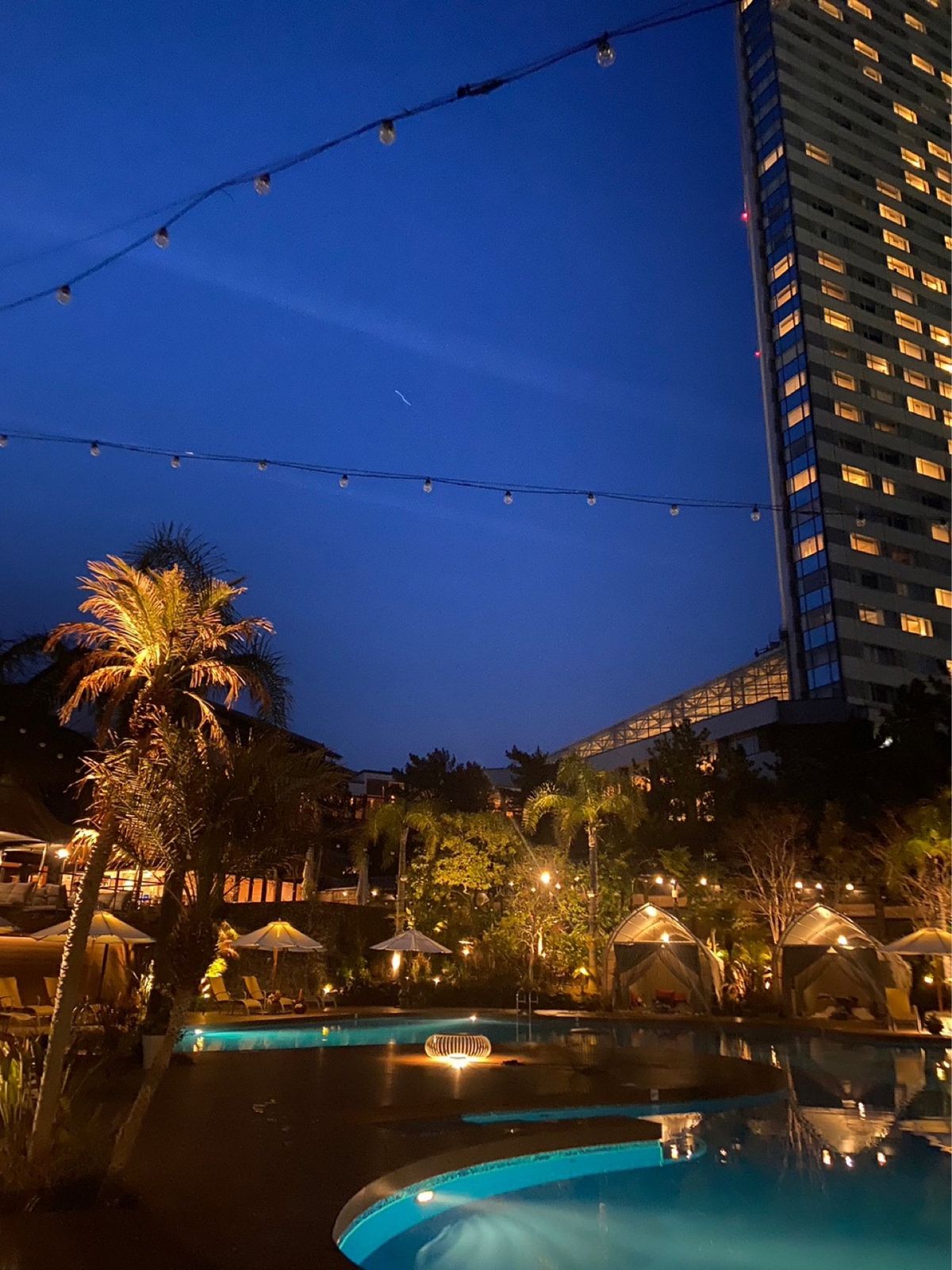 ふるさと納税にて