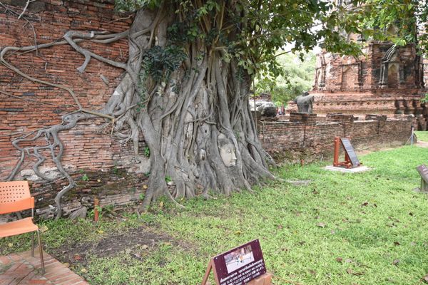 タイ「アユタヤ」の写真