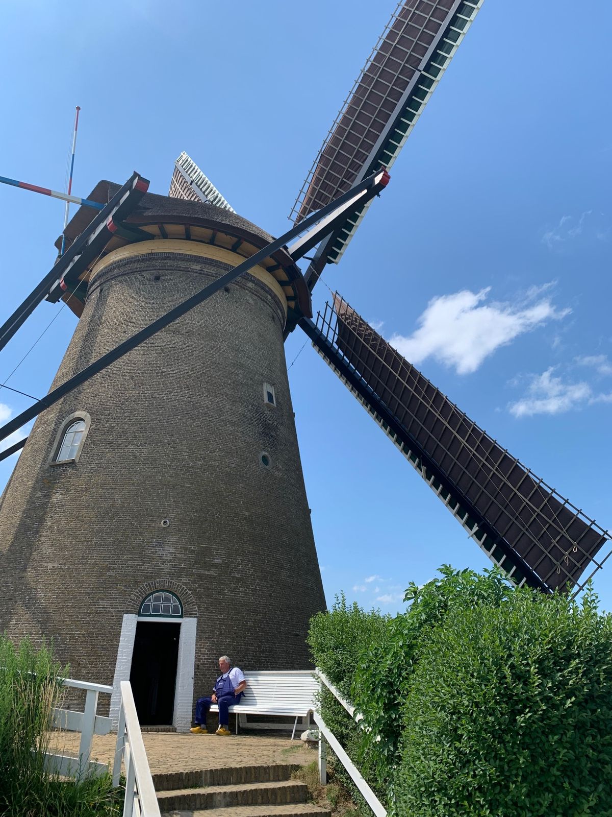 windmill 