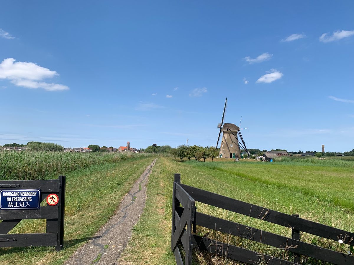 windmill 