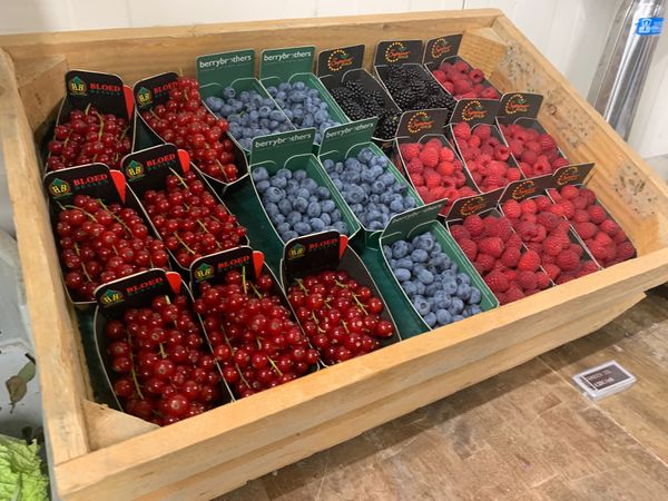 オランダ・マーストリヒト「22.08 オランダ」の写真：grocery