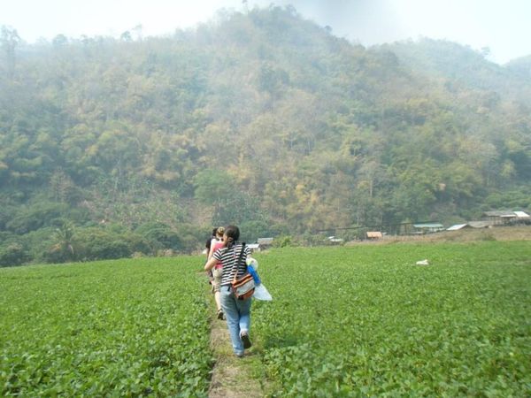 タイ・チェンマイ「12.03 タイ(チェンマイ)」の写真