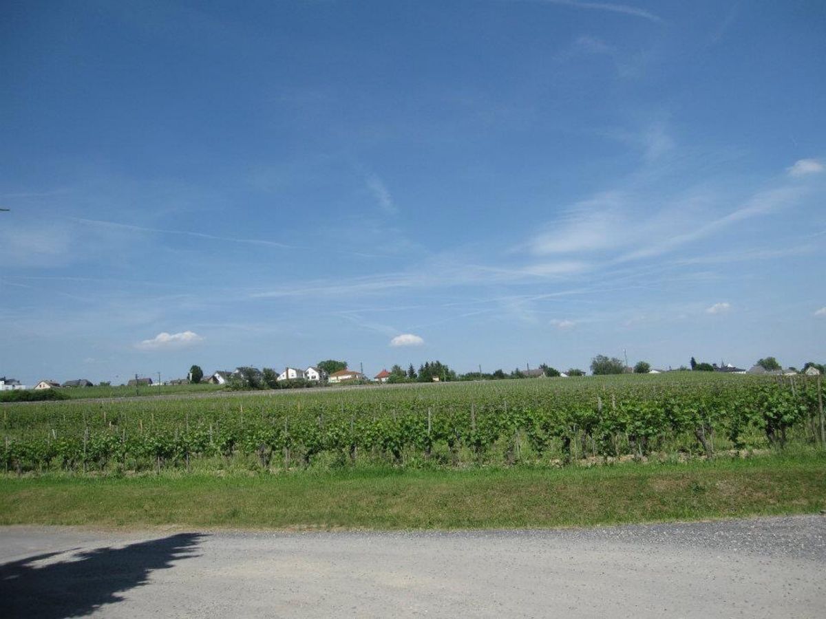 ハッテンハイム
Hattenheim