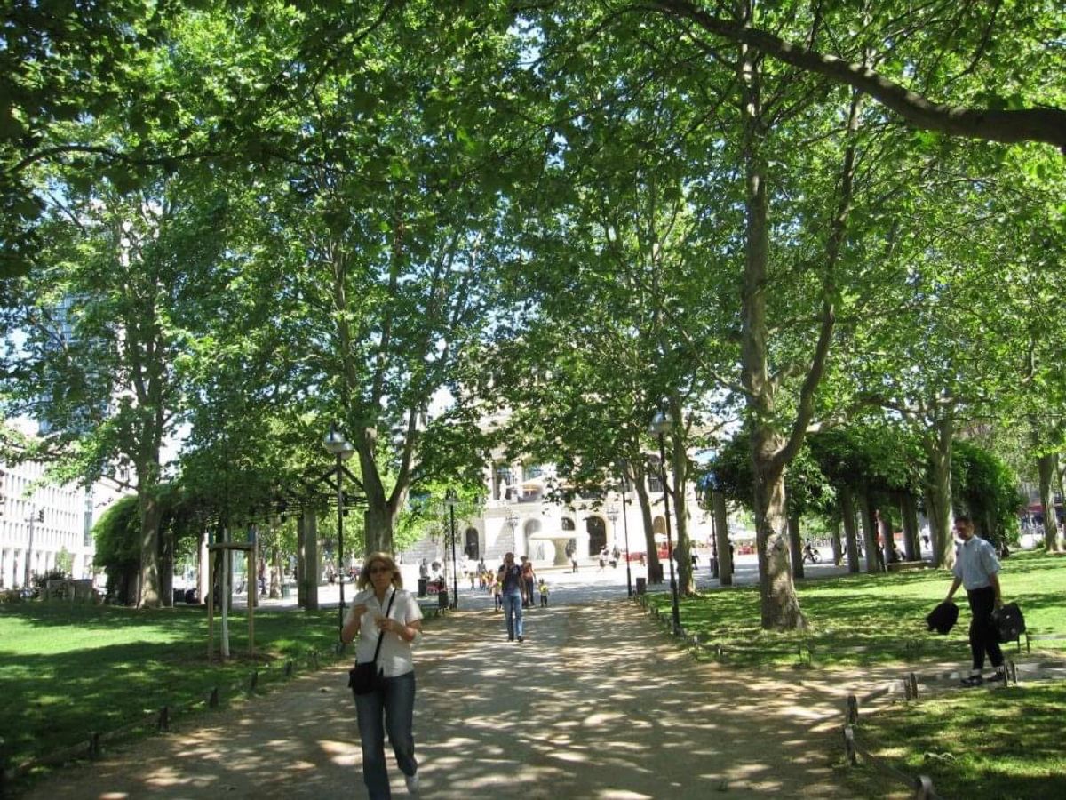 フランクフルト