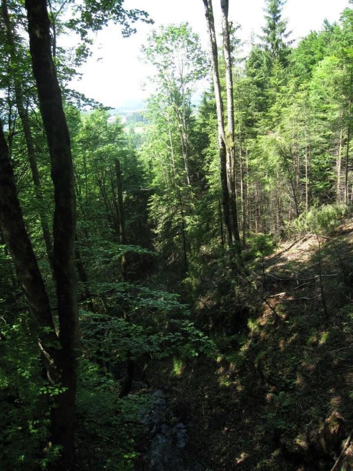 Schwangauにあるホーエンシュヴァンガウ城

Schloß Hohe...