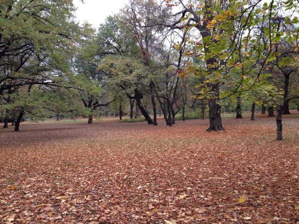 ハンガリー・ブタペスト「13.10 ハンガリー(ブタペスト)」の写真