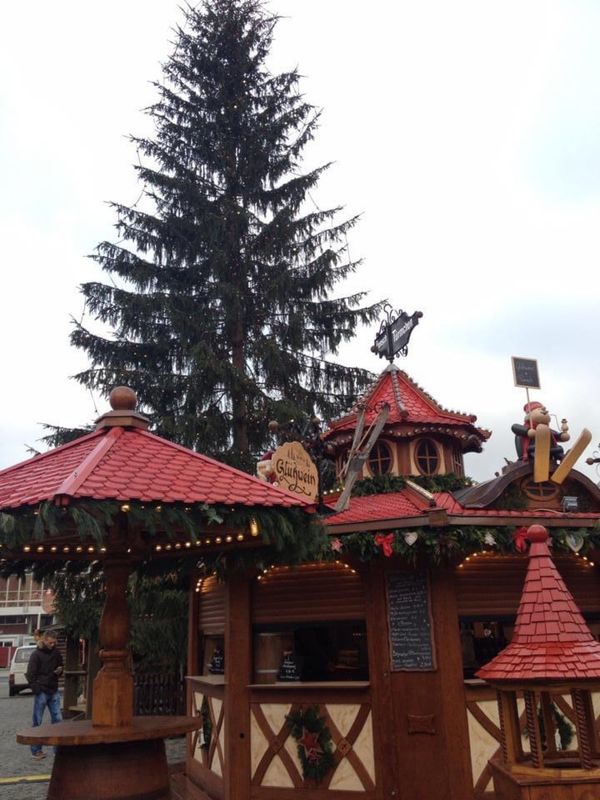 ドイツ・ベルリン「13.11 ドイツ(ハンブルク/ベルリン/ドレスデン/ミュンヘン/フライブルク)」の写真：ドレスデン