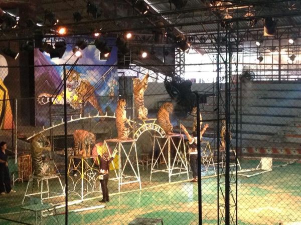 タイ・パタヤ「14.11 タイ(パタヤ)」の写真